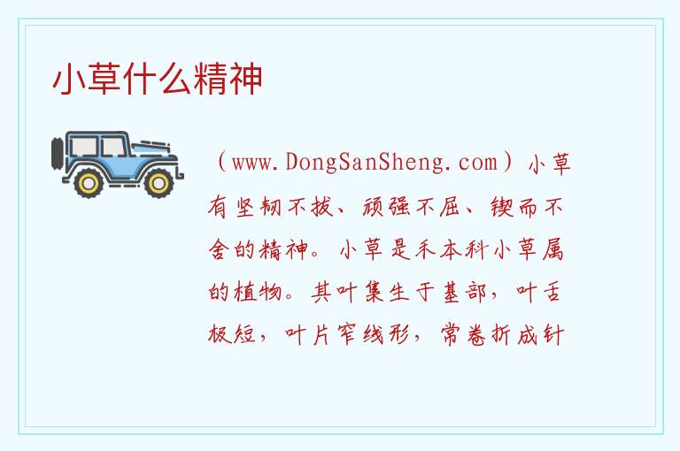 小草什么精神