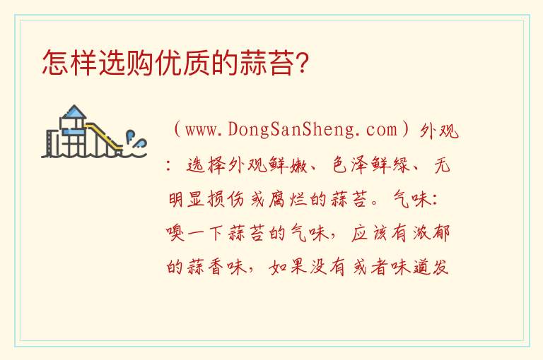 怎样选购优质的蒜苔? 蒜苔怎样挑选?