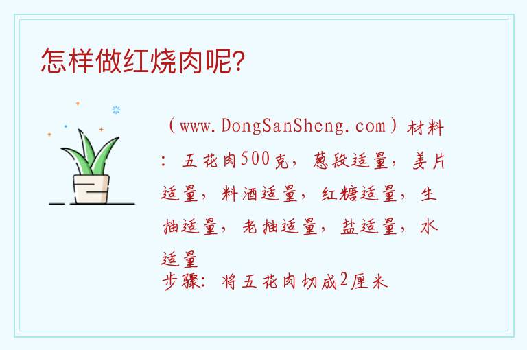 怎样做红烧肉呢?