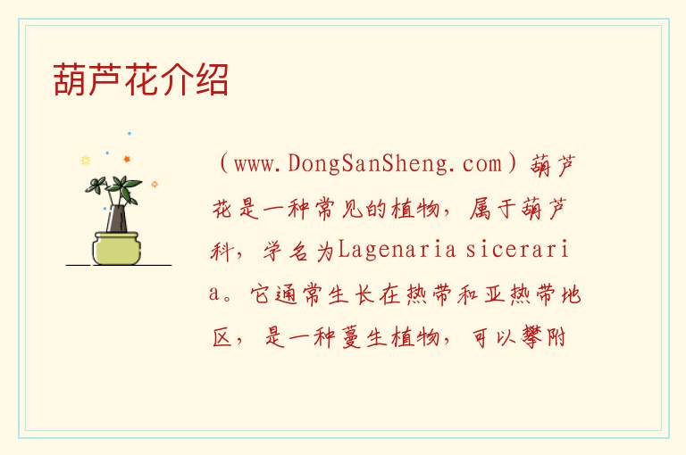 葫芦花介绍 葫芦花是什么?