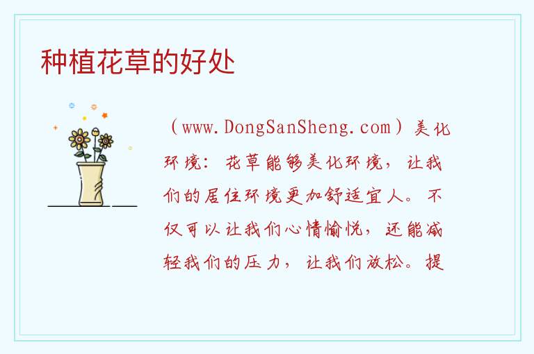 种植花草的好处 培育花草的益处