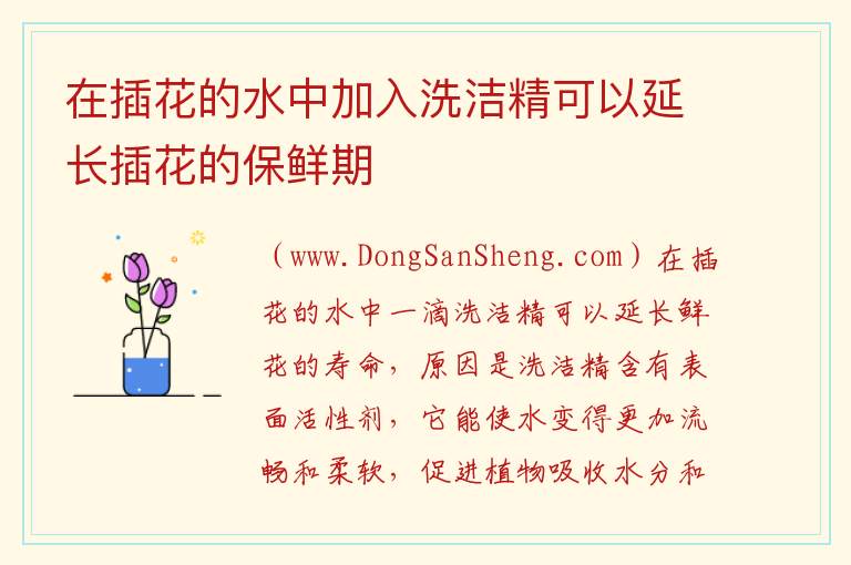 在插花的水中加入洗洁精可以延长插花的保鲜期 在水里滴上一滴洗洁精能够帮助延长插花的寿命