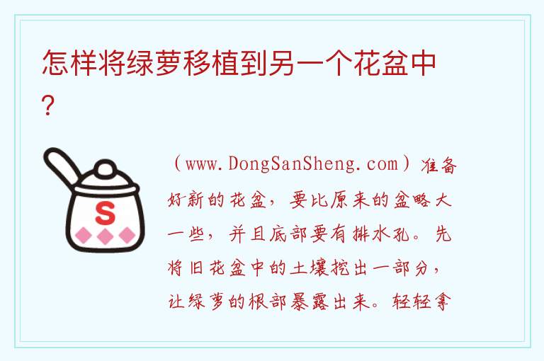 怎样将绿萝移植到另一个花盆中? 如何将绿萝移栽到另一个盆中?